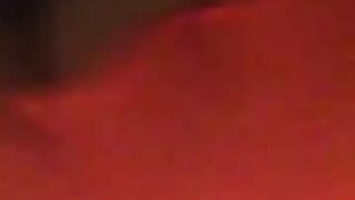 Fun for a day (Video 199)