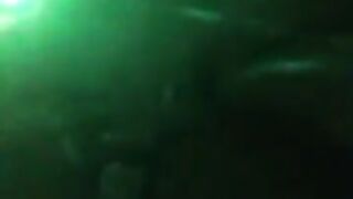 Fun for a day (Video 183)