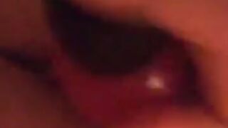 Fun for a day (Video 67)