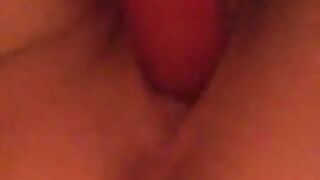 Fun for a day (Video 55)