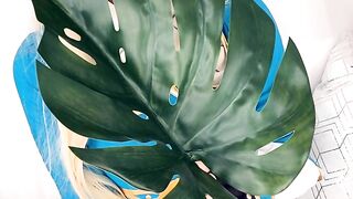 Aug 6 Belle Delphine Onlyfan (Video 2)