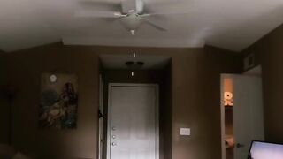 Brilliantly Divine (Video 24)