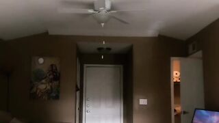 Brilliantly Divine (Video 24)