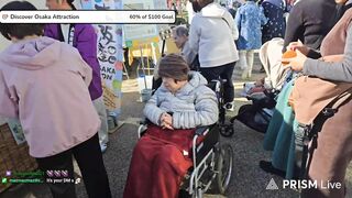 Hazunats Japanese Size Queen Nymph