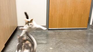 Yungestnugget Onlyfans (Video 11)