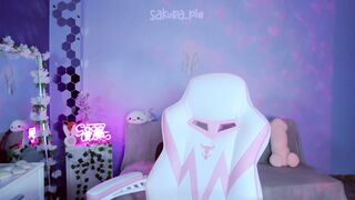 Sakura Pie 2023-04-27