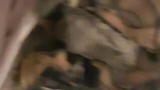 Elizabeth Reed Onlyfans (Video 30)