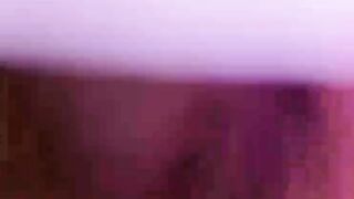 Danyan Cat (Video 3)