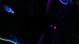 EdmLunaLovegood Leaks (Video 3)