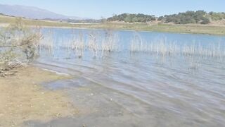 Princess Helayna update staff jan 2021 (Video 1)