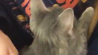 Erin Ashford Onlyfans (Video 18)