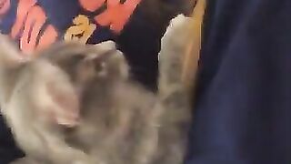 Erin Ashford Onlyfans (Video 18)