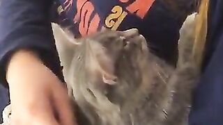 Erin Ashford Onlyfans (Video 18)