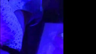 Steph Rodriguez Leaked OnlyFans Full (Video 2)