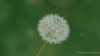 Dillion Harper (Video 2)