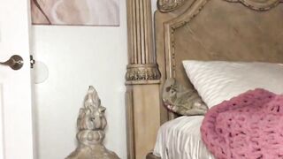 Emily Cheree OnlyFans Pics and Vids (Video 10)