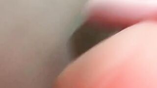 Takeomeow Snowy Elf (Video 10)