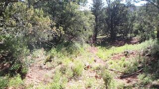 Alex Coal - Lost Without Master - Part 1-2 - POV BGG