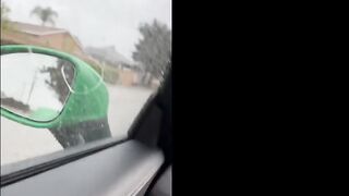 Nala Fitness Bg Porsche Turbo Fuck