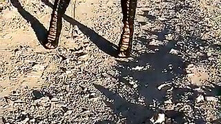 Photos Videos (Video 45)