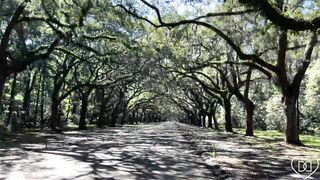 D.D OF - Oak Lane