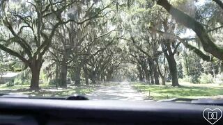 D.D OF - Oak Lane