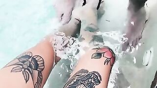 Entire Collection (Video 16)