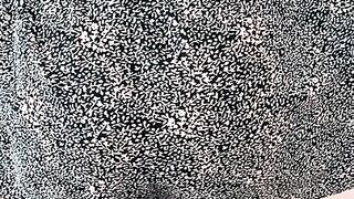 Entire Collection (Video 59)