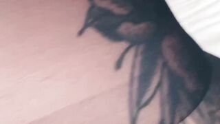 Entire Collection (Video 60)