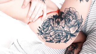 Entire Collection (Video 65)