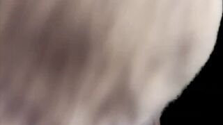 TheBeatleBabe ASMR