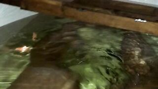 Violet Got Cake (baddgalsteph) (Video 24)