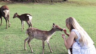 Caroline Zalog Kyoto,Japan VLOG
